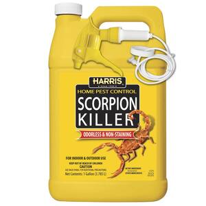 1 Gal. Scorpion Killer