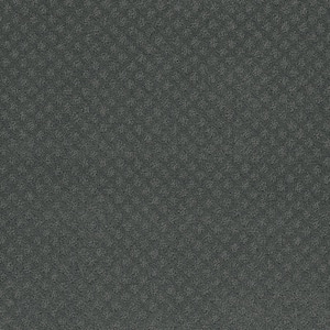 Camelia Lane - Alley - Gray 28 oz. SD Polyester Loop Installed Carpet