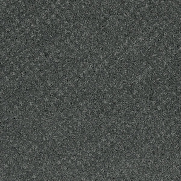 Camelia Lane - Alley - Gray 28 oz. SD Polyester Loop Installed Carpet