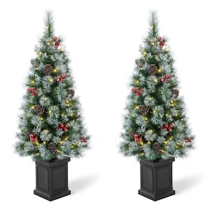 Christmas Trees – The Home Depot