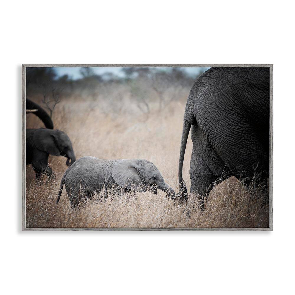 Baby Elephant Strolling by Sharon Vardy Gray Framed Animal Giclee Art Print 16 in. x 24 in. price history on PriceWatchPro