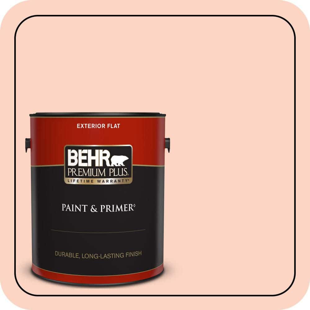 1 gal. #210A-2 Coral Dune Flat Exterior Paint & Primer product image for price tracking