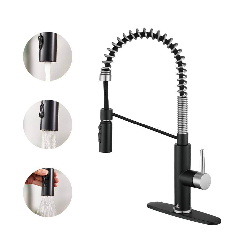 CASAINC Single-Handle Pull Down Sprayer Kitchen Faucet With 3 Function ...