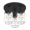 matte-black-dsi-lighting-flush-mount-ceiling-lights-ds19250-4f.2