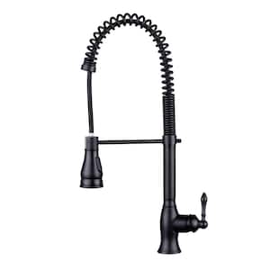 Kitchen Series Single-Handle Spring-Style Pull-Down Sprayer Kitchen Faucet in Matte Black