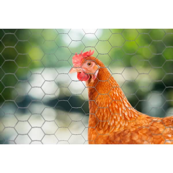 YARDGARD 18 in. x 150 ft. 20 GA Poultry Netting-Galvanized Steel 1 in. Mesh
