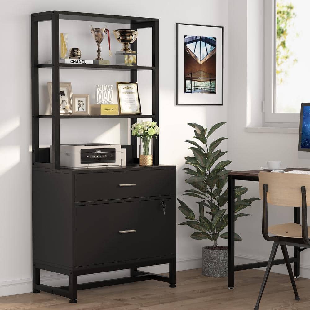 Black Vertical 2-Drawer Lockable File Cabinet with Shelves
