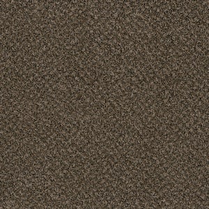 Dream Wish - Strive - Beige 32 oz. SD Polyester Texture Installed Carpet