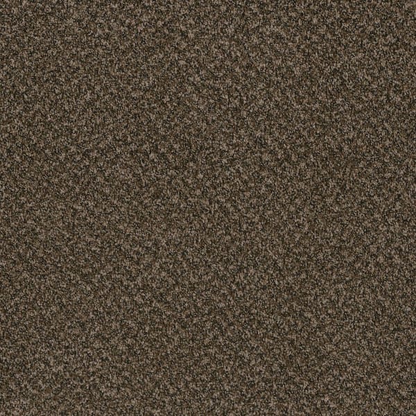Dream Wish - Strive - Beige 32 oz. SD Polyester Texture Installed Carpet