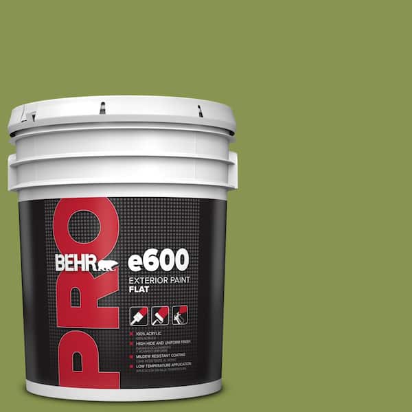 BEHR PRO 5 gal. #M360-6 Bold Avocado Flat Exterior Paint