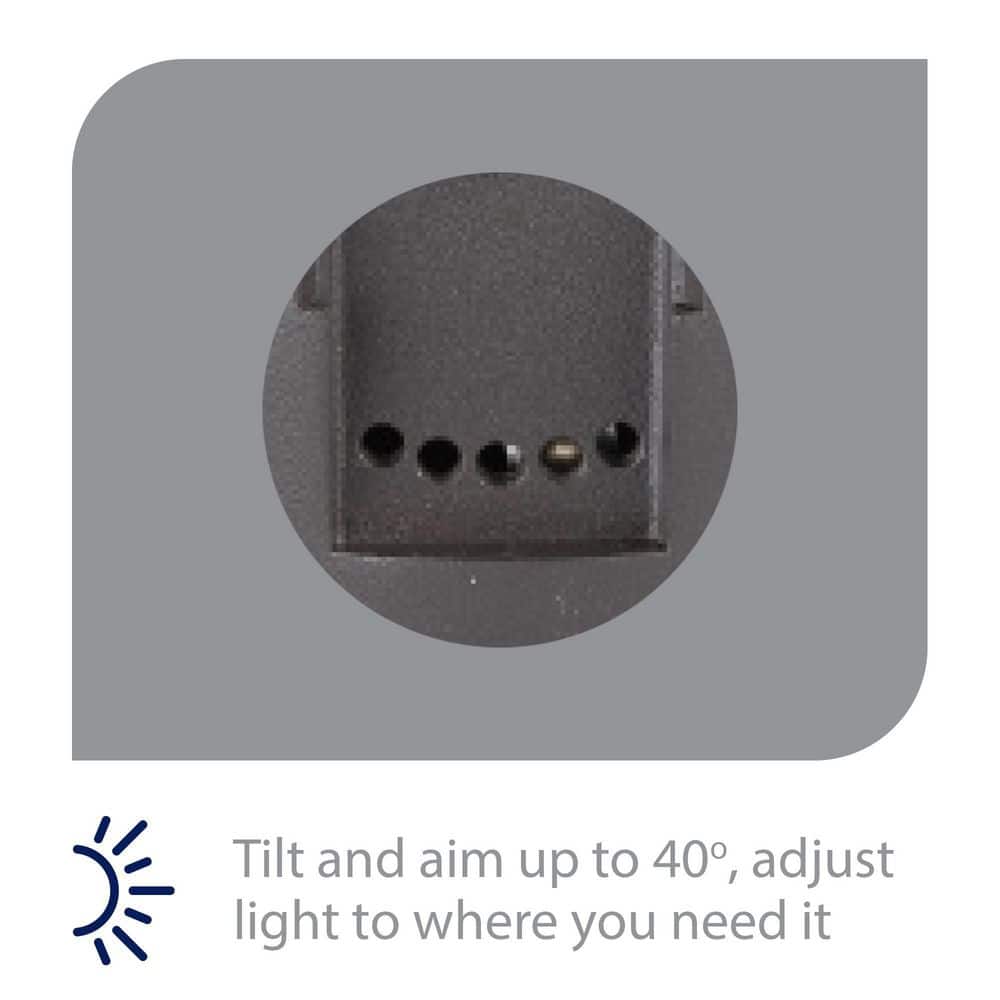 Bronzed Brass LED Inground Light with Adjustable Beam Angle