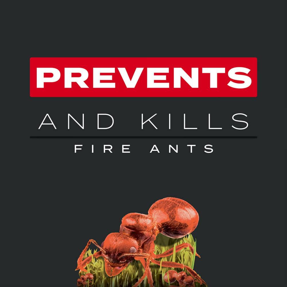 Imagen de producto 4