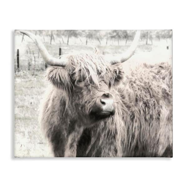 Highland Cow Gazing Portrait by Graffi tee Studios Unframed Animal Graphic Art Print 30 in. x 40 in.