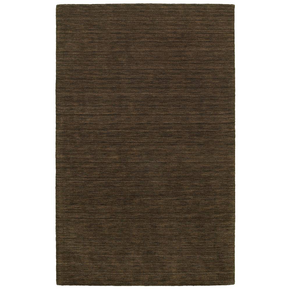 Aiden Brown/Brown 8 ft. X 10 ft. Solid Area Rug