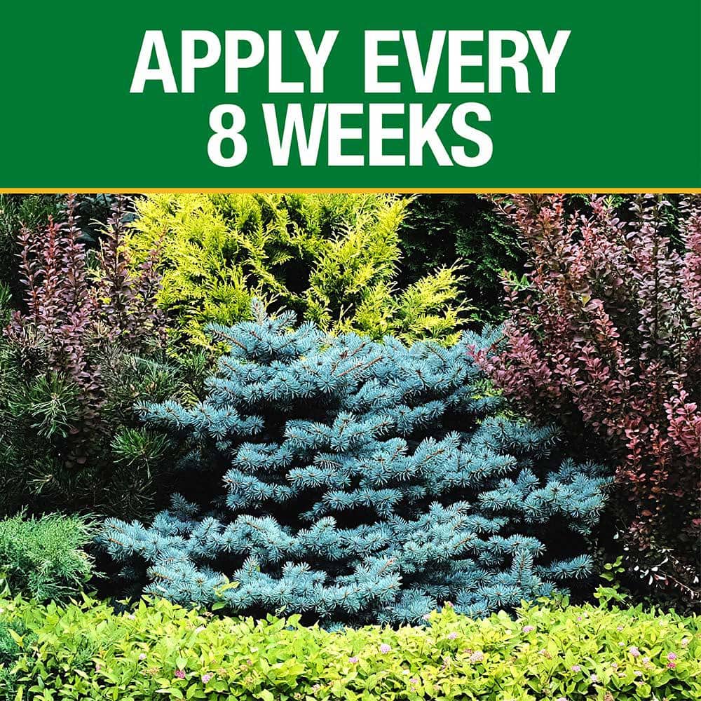 3.5 lb. All Season Tree, Shrub and Evergreen Fertilizer