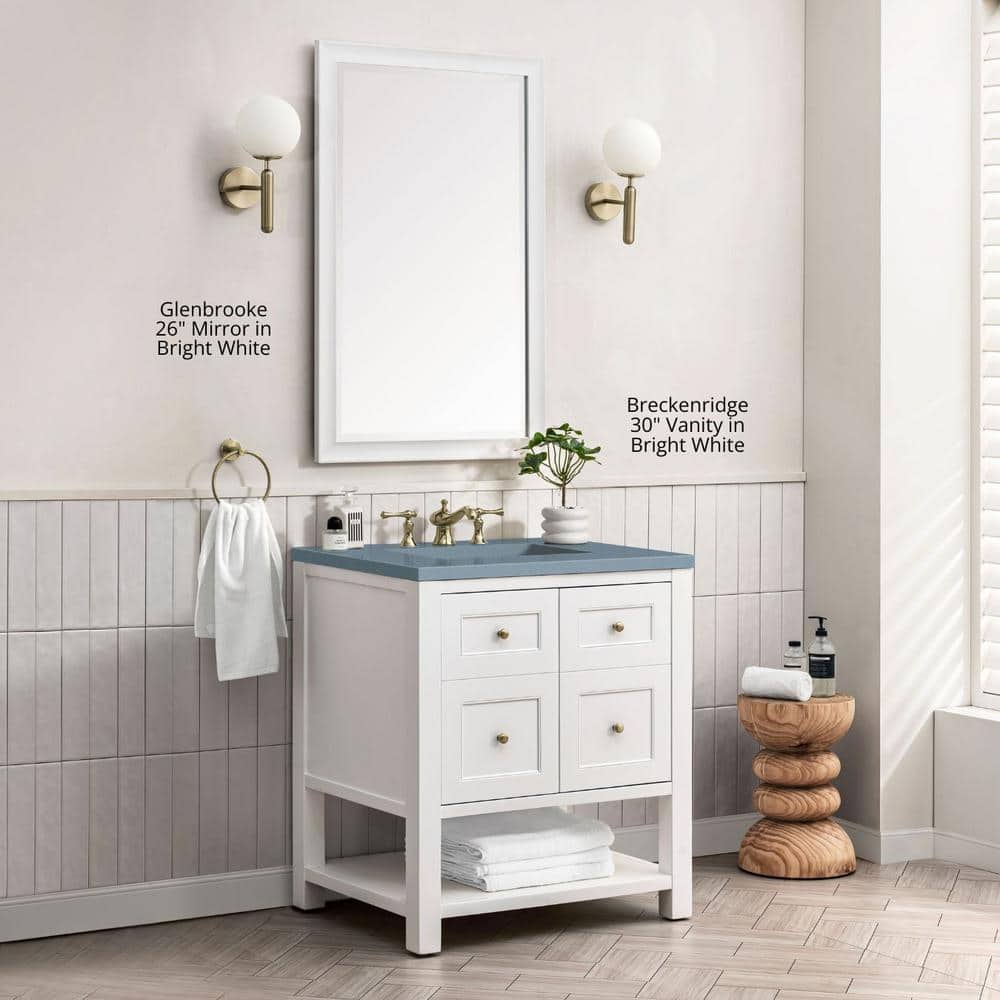 Glenbrooke 26 in. W x 40 in. H Rectangular Framed Wall Mount Bathroom Vanity Mirror in Black Onyx price history on PriceWatchPro