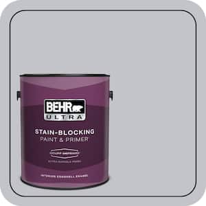 1 gal. #N540-2 Glitter color Extra Durable Eggshell Enamel Interior Paint & Primer