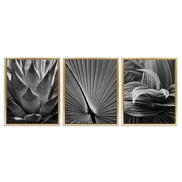 Stupell Industries Palm Frond Details by Chip Forelli 3 Pieces Gold Floater Frame Nature Graphic Art Print 31 in. x 25 in.