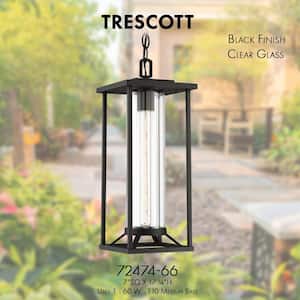 Trescott Black Outdoor 1-Light Hanging Lantern
