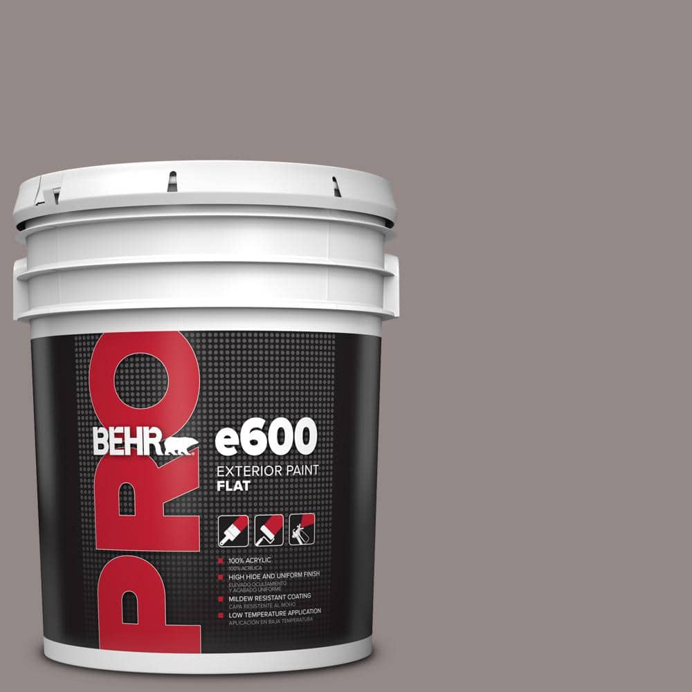 5 gal. #PPU17-16 Polished Stone Flat Exterior Paint price history on PriceWatchPro