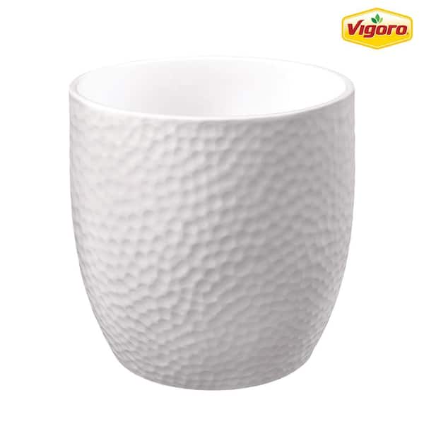 Vigoro Ellory 6.3 in. x 6.3 in. D x 5.9 in. H Small Matte White Ceramic Pot