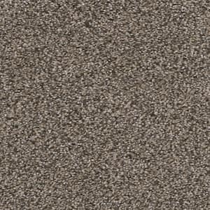 Fall Skies I  - Corn Maze - Beige 48 oz. SD Polyester Texture Installed Carpet