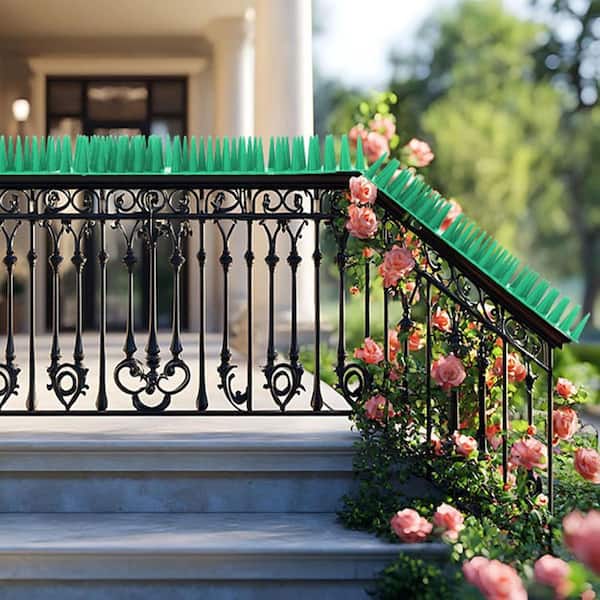 How to Deter Birds from Balcony