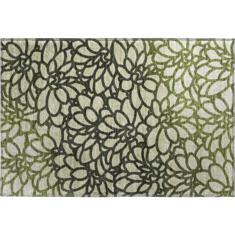 Mayfield Premium Machine Washable Abstract AMF2412 Aloe 2 ft. x 3 ft. Accent Rug price history on PriceWatchPro