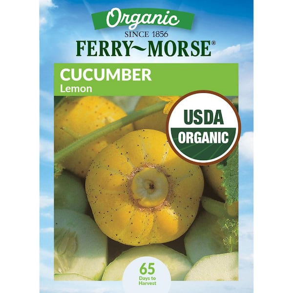 Ferry-Morse Organic Cucumber Lemon Fruit Seeds