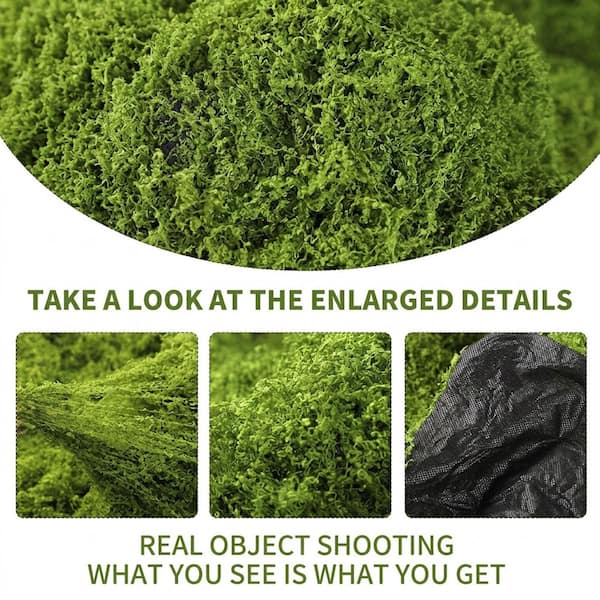 Afoxsos 39.37 in. H x 39.37 in. W Green Artificial Moss Hedges