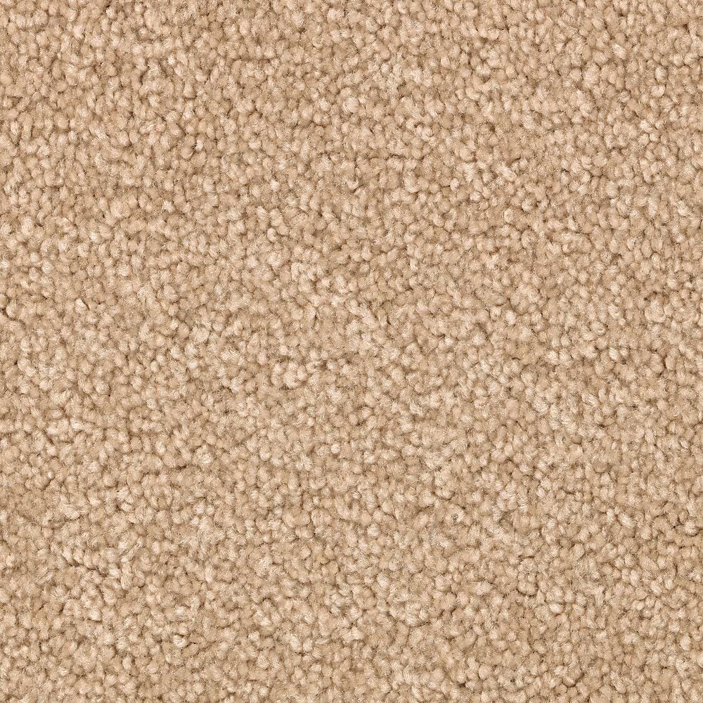 8 in. x 8 in. Texture Carpet Sample - Unblemished I -Color Earthen price history on PriceWatchPro