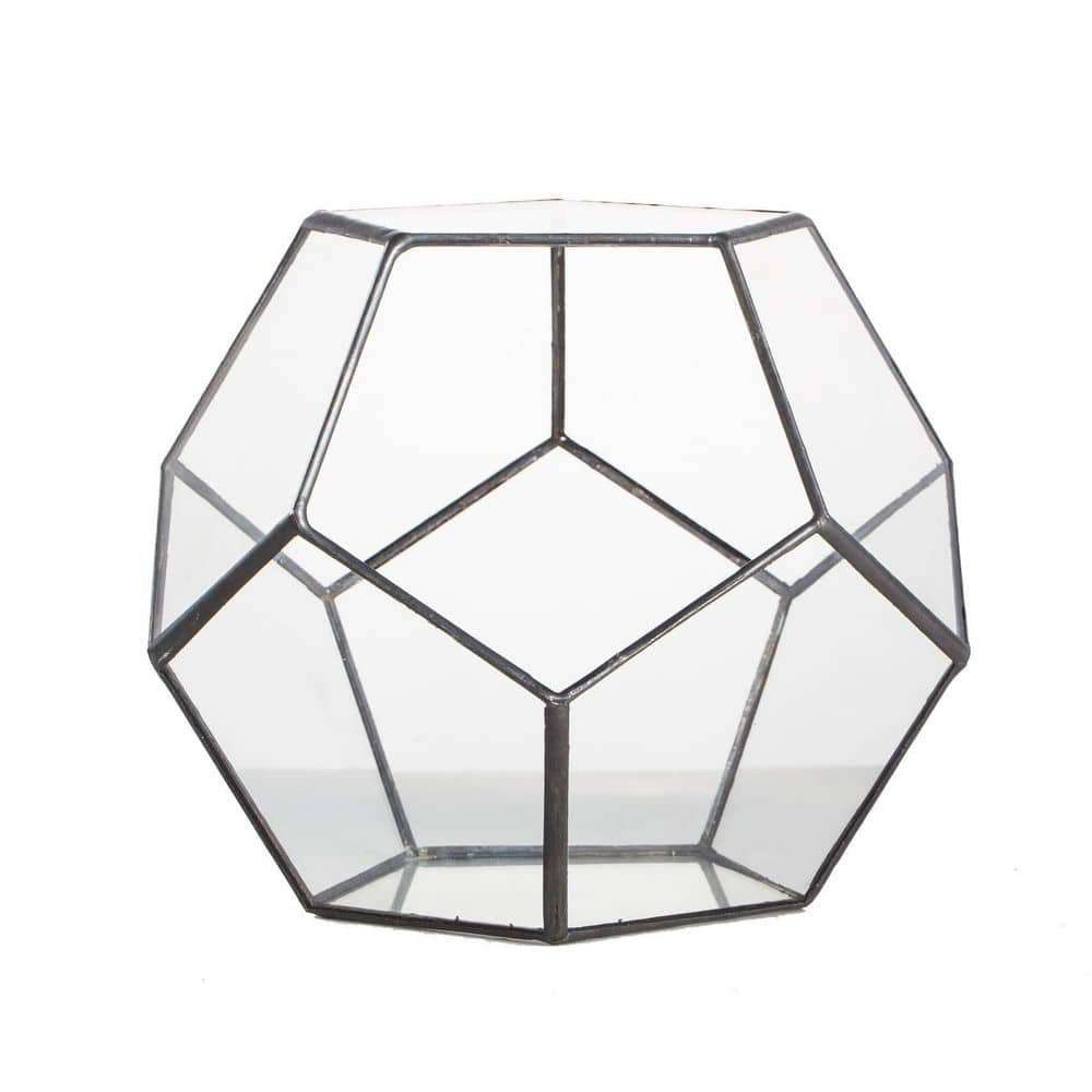 Small Open Glass Terrarium Planter, 6.89 in. x 6.89 in. x 5.9 in. Pentagon Geometric Glass Container Pot (No Plants) price history on PriceWatchPro