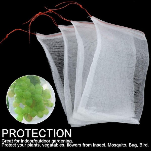 Anti Bird Protection Net Mesh, Garden Plant Netting, Protect Plants and  Fruit Trees from Rodents, Birds and More - 7 x 20 ft. 