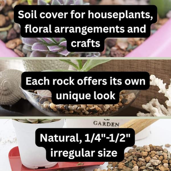 5 lbs. Natural Pebbles Soil Cover