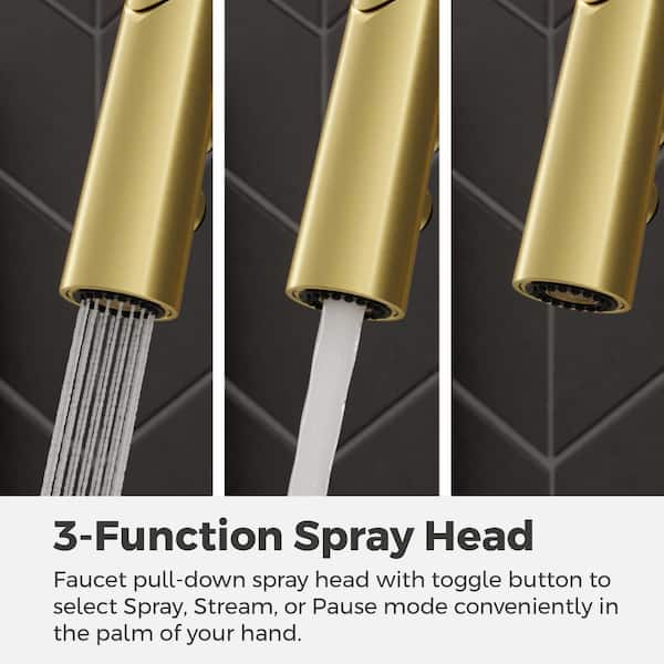 Pfister Ceylon Brushed Gold Single Handle High-Arc Kitchen Faucet