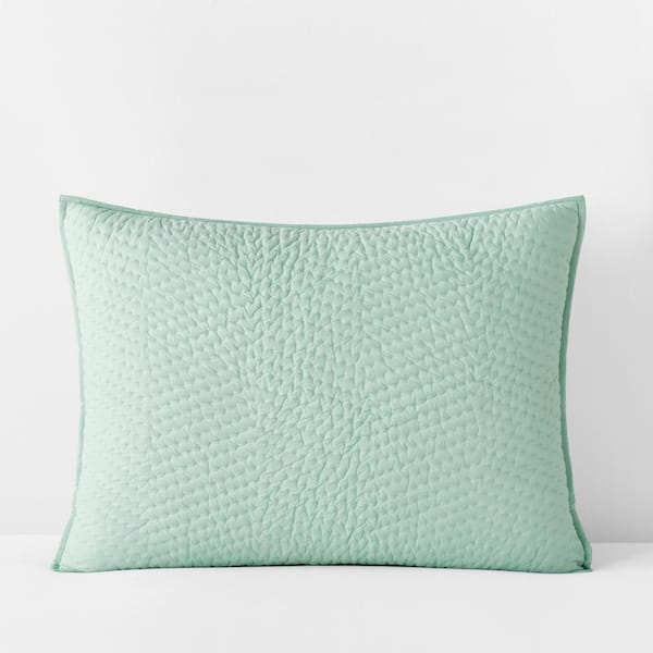 The Company Store Company Cotton Sea Spray Solid Standard Sham