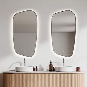Florian 26 in. W x 48 in. H Rectangular Framed LED Bathroom Vanity Mirror in Matt Black