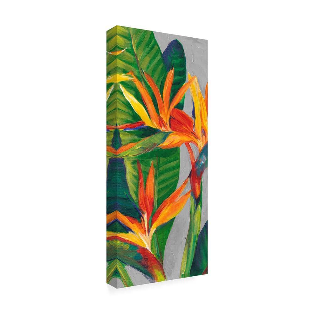 Tim Otoole Bird of Paradise Floral Canvas Print