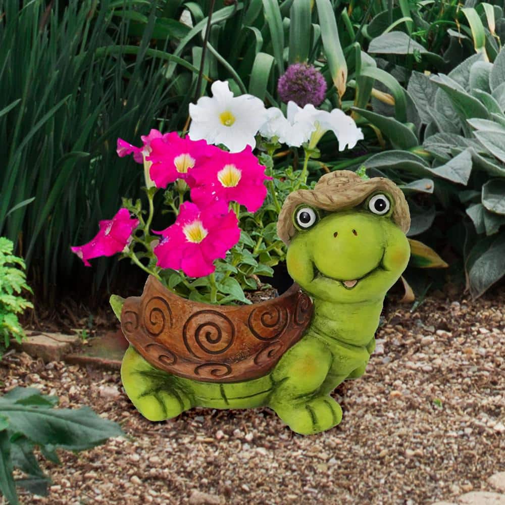 Terracotta Turtle Planter for Small Plants and Succulents