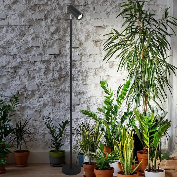 Grow Lights Full Spectrum Plant Lights with 20W COB Grow Light Blub, Timer, Standing Tall Grow Lamp Height Adjustable
