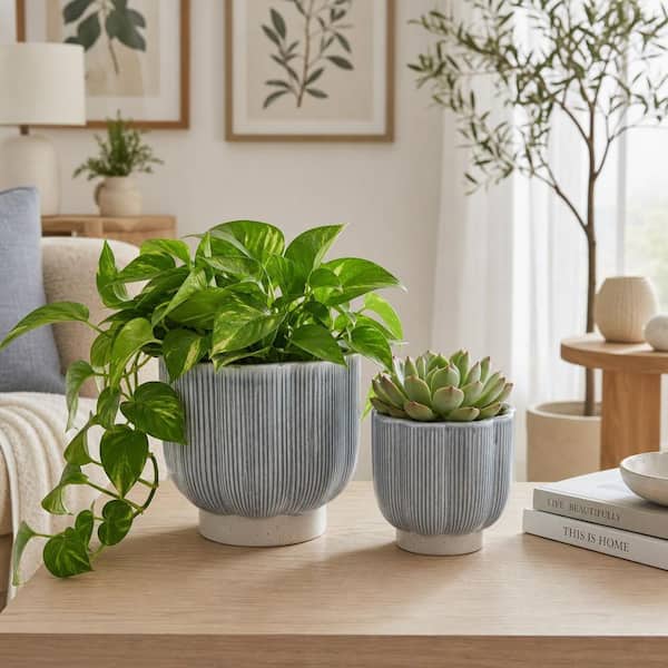 Liv & Skye 6 in. and 8 in. Green Ceramic Scallop Shaped Decorative
