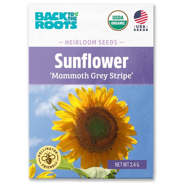 Organic Mammoth Grey Stripe Sunflower Seed