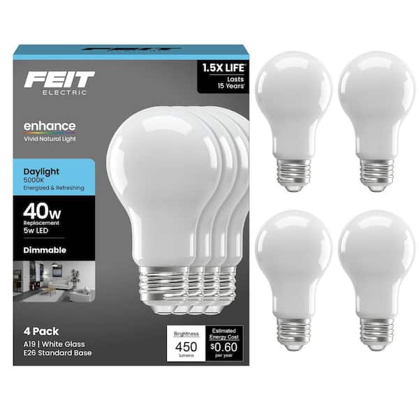 40-Watt Equivalent A-Style A19 Dimmable CEC 90 CRI Frosted Glass Filament E26 LED Light Bulb, Daylight 5000K (4-Pack)
