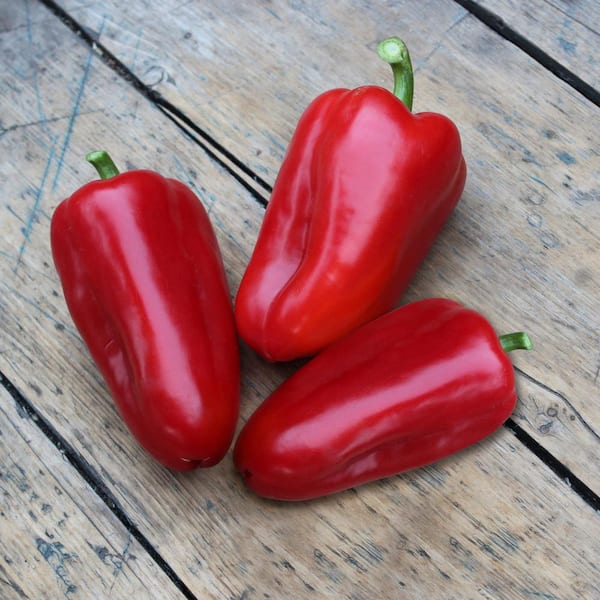 Sweet Bell Peppers