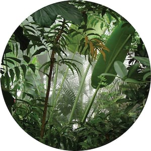 Falkirk Airdrie Abstract Peel and Stick Jungle Scene Circular Wall Mural