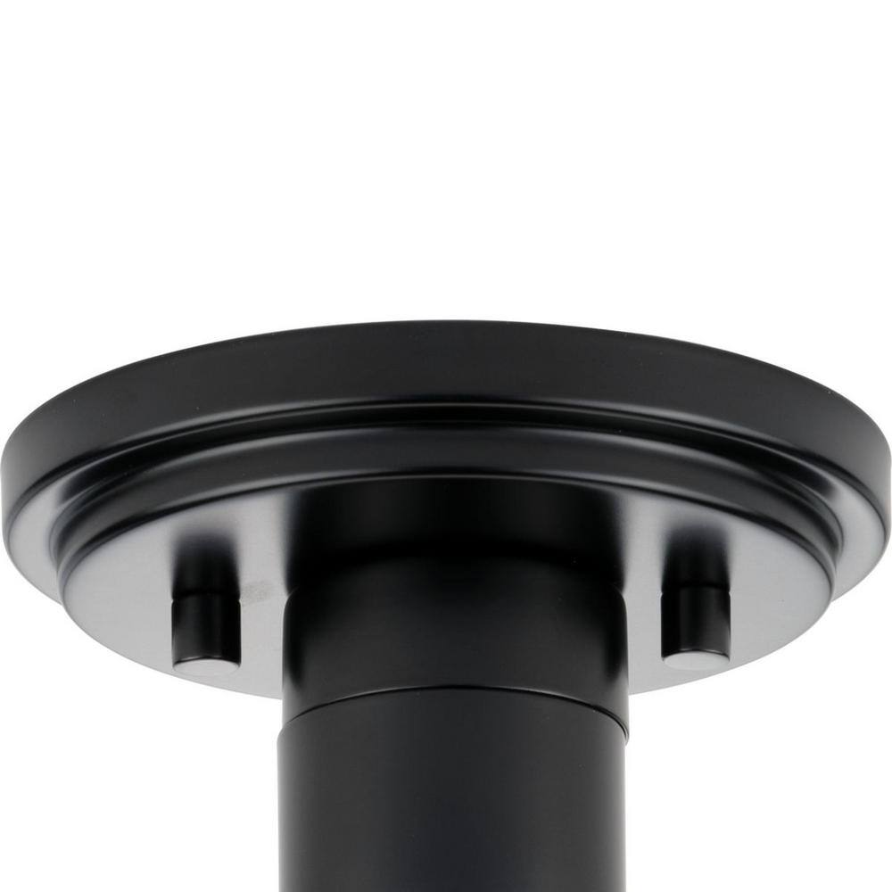 Adley Matte Black and Clear Glass Flush Mount Light