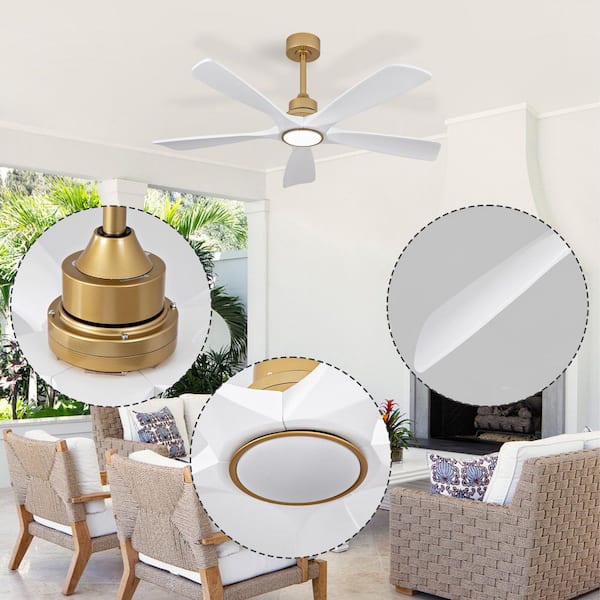 Shinevoy 52 in. Indoor Gold Downrod Mount Ceiling Fan with Light