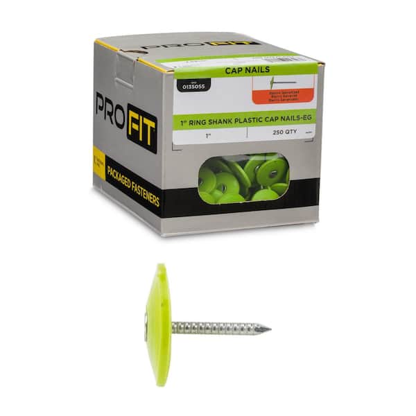 Stinger 1 in. Electro Galvanized Ring Shank Nail with Plastic Cap