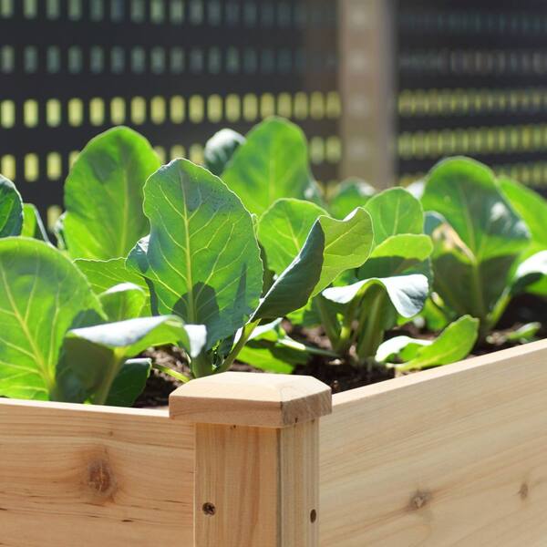 VEIKOUS 47 in. L x 23 in. W x 33 in. H Cedar Wood Raised