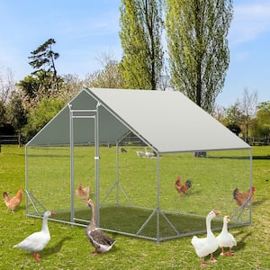 6.5 ft. x 9.9 ft. Metal Walk-in Shed Chicken Coop with Waterproof Cover